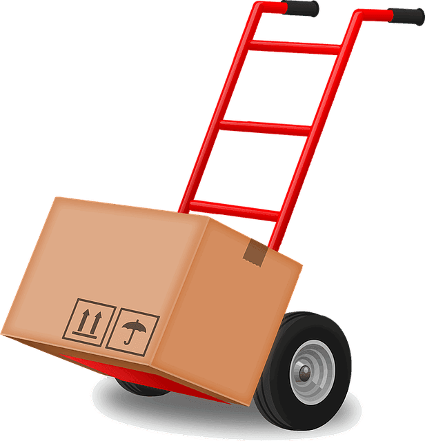 Moving Large & Heavy Items: How to Move Heavy Furniture - TSI